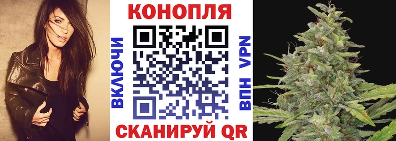 Виды наркотиков купить Завитинск Бошки Шишки  A PVP  ГАШ  МЕФ  COCAIN 