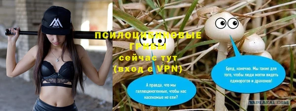 мяу мяу мука Алексеевка