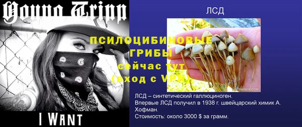 ALPHA-PVP Алексин